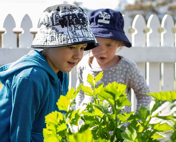 Kid Looking at Plants — Early Learning in Highfields, QLD