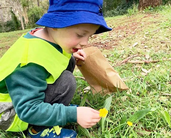 Child Getting Flowers — Early Learning in Highfields, QLD